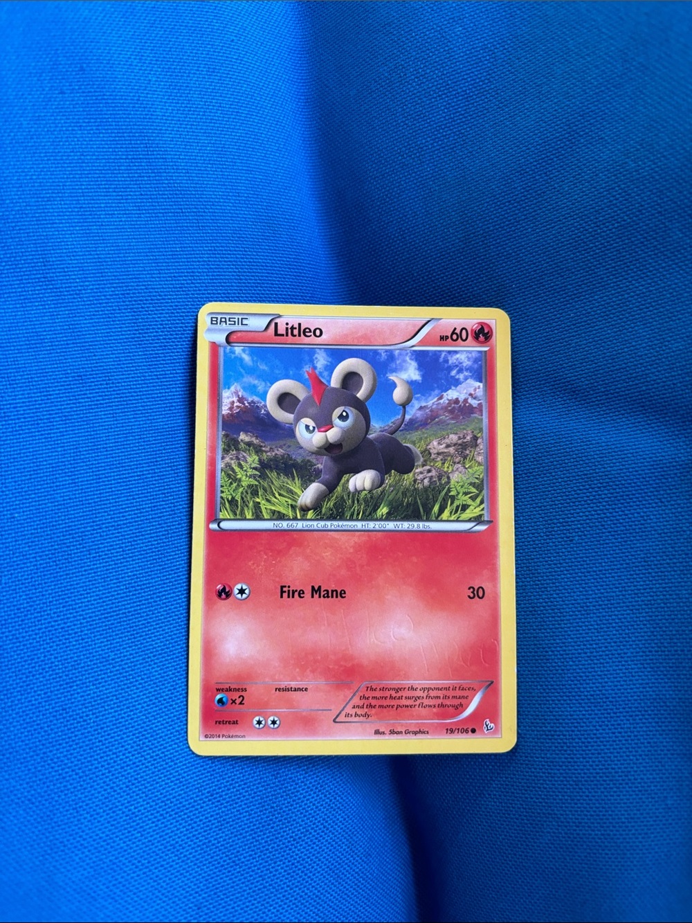 Pokémon Cards Litleo HP 60 2014 Fire Type Pokemon NWOTS